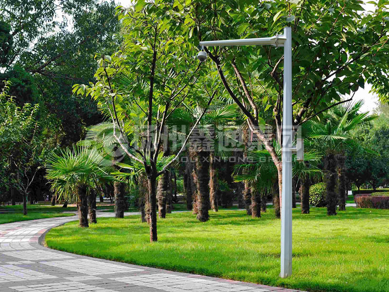 DJG-022，電子警察桿，八棱懸臂球機桿